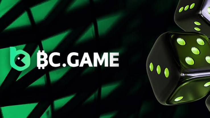 Understanding the BC.Game Mirror Login Process 953121411