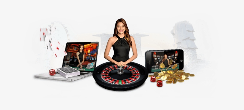 Discover the Best Bitcoin Roulette Sites for 2023 Discover the Best Bitcoin Roulette Sites for 2023