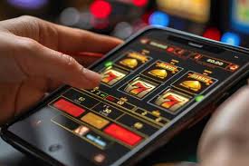 Experience the Thrill of BigWins Live Casino -311020309