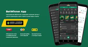 Experience the Thrill of BetWinner Aviator Your Ultimate Guide