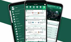 Comprehensive BetWinner Review Features, Offers, and More
