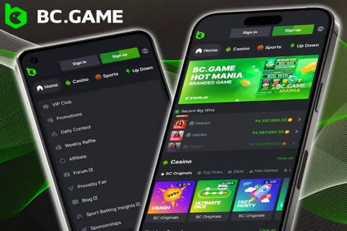 Menjelajahi Platform Permainan Resmi BC GAME